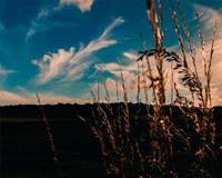 怎么买便宜正版的DDOS攻击测试