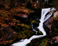 攻击网站在线工具