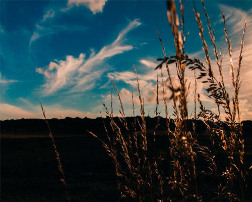 批发价卡密的ddos攻击工具