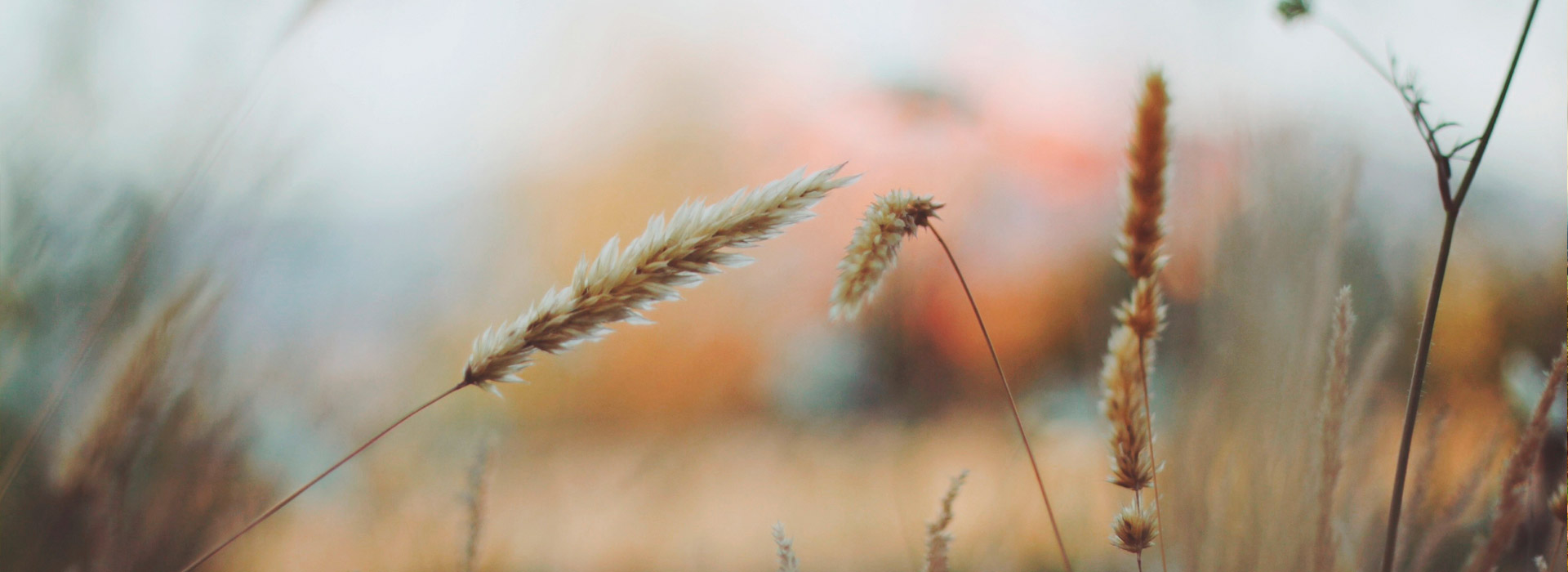 安卓ddos攻击工具